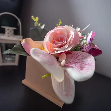 ホテル Rozmantic 3*